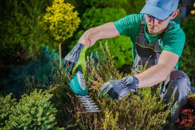landscaping services Union Springs